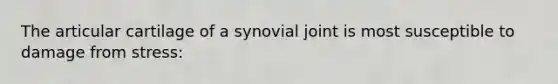 The articular cartilage of a synovial joint is most susceptible to damage from stress: