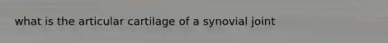 what is the articular cartilage of a synovial joint