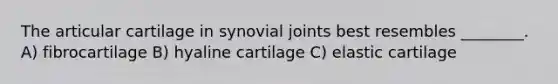 The articular cartilage in synovial joints best resembles ________. A) fibrocartilage B) hyaline cartilage C) elastic cartilage