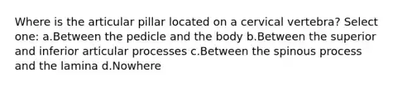 Where is the articular pillar located on a cervical vertebra? Select one: a.Between the pedicle and the body b.Between the superior and inferior articular processes c.Between the spinous process and the lamina d.Nowhere