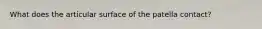 What does the articular surface of the patella contact?