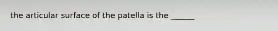 the articular surface of the patella is the ______