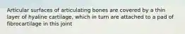 Articular surfaces of articulating bones are covered by a thin layer of hyaline cartilage, which in turn are attached to a pad of fibrocartilage in this joint