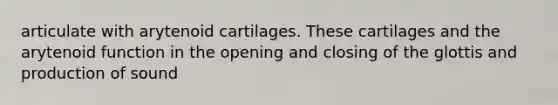 articulate with arytenoid cartilages. These cartilages and the arytenoid function in the opening and closing of the glottis and production of sound