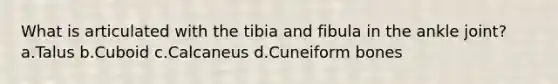 What is articulated with the tibia and fibula in the ankle joint? a.Talus b.Cuboid c.Calcaneus d.Cuneiform bones