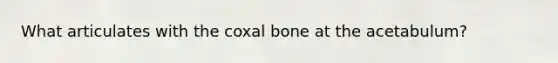 What articulates with the coxal bone at the acetabulum?