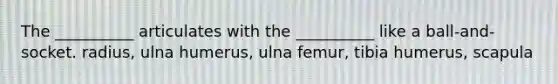 The __________ articulates with the __________ like a ball-and-socket. radius, ulna humerus, ulna femur, tibia humerus, scapula