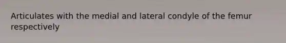 Articulates with the medial and lateral condyle of the femur respectively