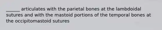 ______ articulates with the parietal bones at the lambdoidal sutures and with the mastoid portions of the temporal bones at the occipitomastoid sutures