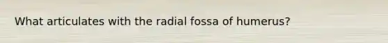What articulates with the radial fossa of humerus?