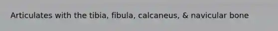 Articulates with the tibia, fibula, calcaneus, & navicular bone