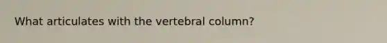 What articulates with the vertebral column?