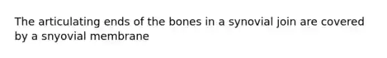 The articulating ends of the bones in a synovial join are covered by a snyovial membrane