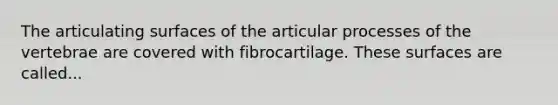 The articulating surfaces of the articular processes of the vertebrae are covered with fibrocartilage. These surfaces are called...