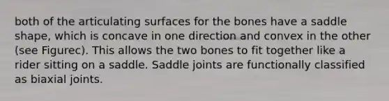 both of the articulating surfaces for the bones have a saddle shape, which is concave in one direction and convex in the other (see Figurec). This allows the two bones to fit together like a rider sitting on a saddle. Saddle joints are functionally classified as biaxial joints.