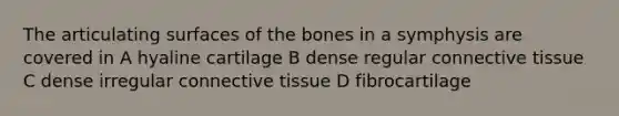 The articulating surfaces of the bones in a symphysis are covered in A hyaline cartilage B dense regular connective tissue C dense irregular connective tissue D fibrocartilage