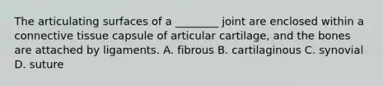 The articulating surfaces of a ________ joint are enclosed within a connective tissue capsule of articular cartilage, and the bones are attached by ligaments. A. fibrous B. cartilaginous C. synovial D. suture