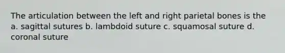 The articulation between the left and right parietal bones is the a. sagittal sutures b. lambdoid suture c. squamosal suture d. coronal suture