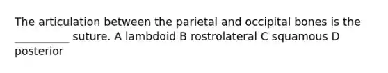 The articulation between the parietal and occipital bones is the __________ suture. A lambdoid B rostrolateral C squamous D posterior