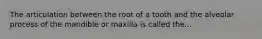 The articulation between the root of a tooth and the alveolar process of the mandible or maxilla is called the...