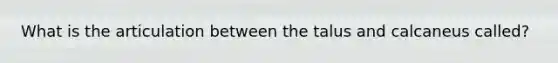 What is the articulation between the talus and calcaneus called?