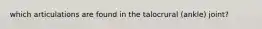 which articulations are found in the talocrural (ankle) joint?