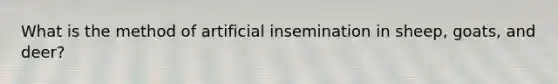 What is the method of artificial insemination in sheep, goats, and deer?