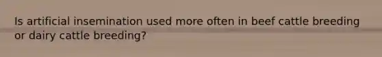 Is artificial insemination used more often in beef cattle breeding or dairy cattle breeding?