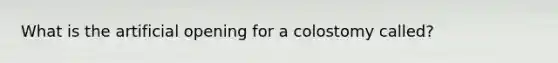 What is the artificial opening for a colostomy called?