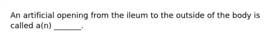 An artificial opening from the ileum to the outside of the body is called a(n) _______.