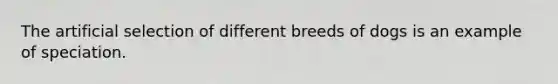 The artificial selection of different breeds of dogs is an example of speciation.