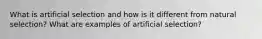 What is artificial selection and how is it different from natural selection? What are examples of artificial selection?