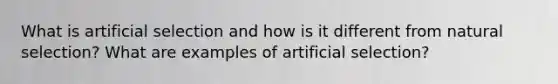 What is artificial selection and how is it different from natural selection? What are examples of artificial selection?