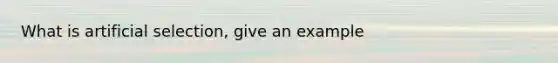 What is artificial selection, give an example