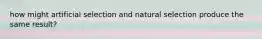 how might artificial selection and natural selection produce the same result?