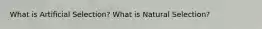 What is Artificial Selection? What is Natural Selection?