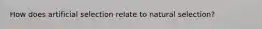 How does artificial selection relate to natural selection?
