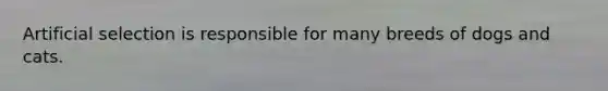 Artificial selection is responsible for many breeds of dogs and cats.