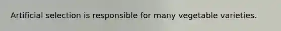 Artificial selection is responsible for many vegetable varieties.