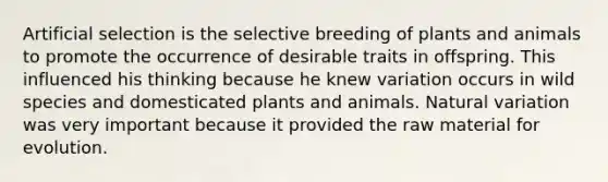 Artificial selection is the selective breeding of plants and animals to promote the occurrence of desirable traits in offspring. This influenced his thinking because he knew variation occurs in wild species and domesticated plants and animals. Natural variation was very important because it provided the raw material for evolution.