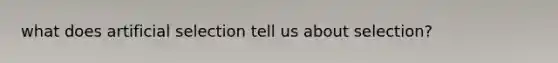 what does artificial selection tell us about selection?