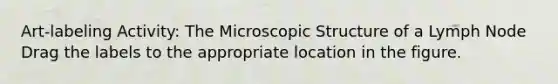 Art-labeling Activity: The Microscopic Structure of a Lymph Node Drag the labels to the appropriate location in the figure.