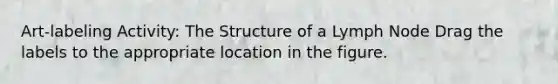 Art-labeling Activity: The Structure of a Lymph Node Drag the labels to the appropriate location in the figure.