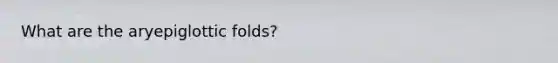 What are the aryepiglottic folds?