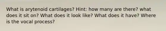 What is arytenoid cartilages? Hint: how many are there? what does it sit on? What does it look like? What does it have? Where is the vocal process?