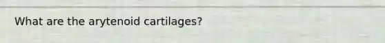 What are the arytenoid cartilages?