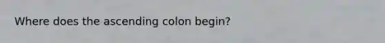 Where does the ascending colon begin?