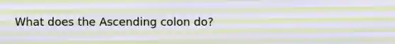 What does the Ascending colon do?