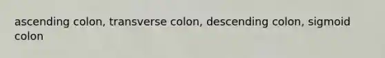 ascending colon, transverse colon, descending colon, sigmoid colon