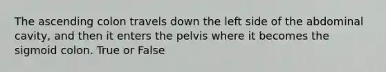 The ascending colon travels down the left side of the abdominal cavity, and then it enters the pelvis where it becomes the sigmoid colon. True or False